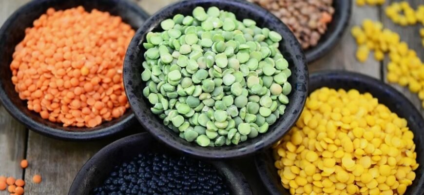 Смерека: опис, значення та вплив на екосистему України