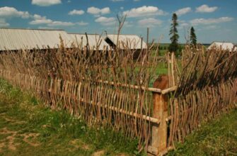 Що таке бар: визначення, функції та історія закладів для відпочинку
