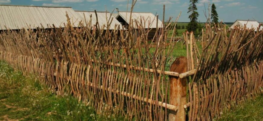 Що таке бар: визначення, функції та історія закладів для відпочинку