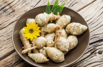 Топінамбур: корисні властивості та способи вживання для здоров’я