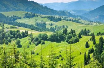 Что такое Верховина: история, культура и туристические объекты региона