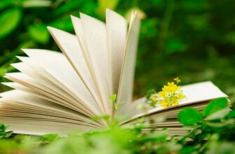 Розкриття поняття: Що таке звукова модель слова в мовознавстві?