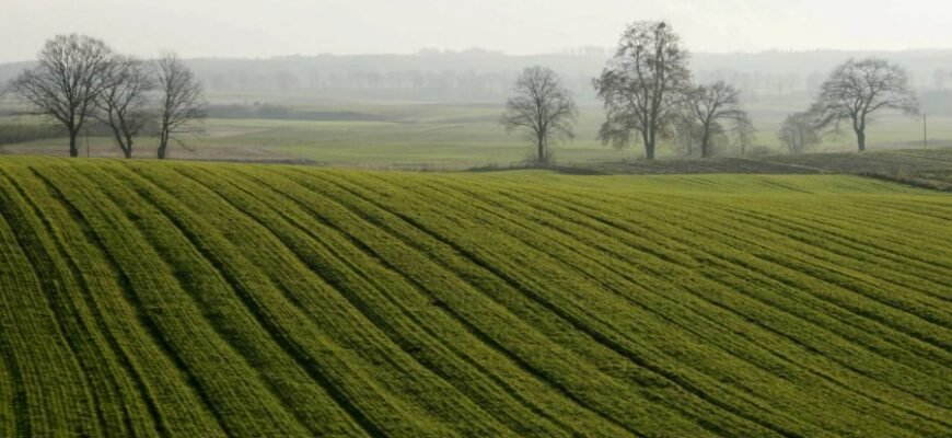 Землеробство: Від традиційних методів до сучасних технологій