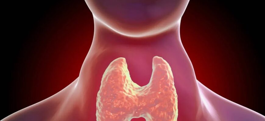 Що таке порцеляна: історія, властивості та використання матеріалу