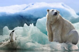 Підвищення рівня Світового океану: як зміни вплинуть на наше майбутнє?