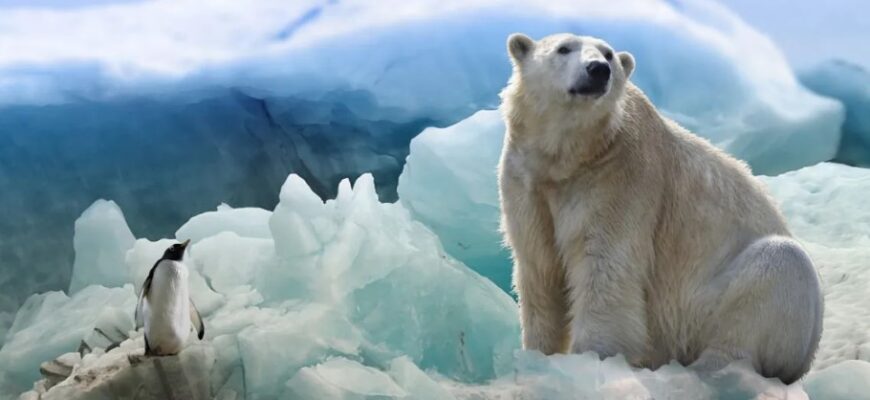 Підвищення рівня Світового океану: як зміни вплинуть на наше майбутнє?