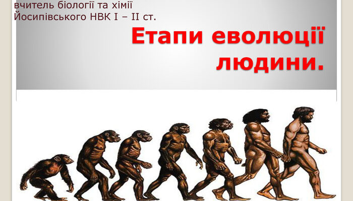 Еволюція: що це, як вона відбувається і чому важлива для людства?
