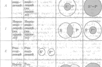 Що таке судження: визначення, типи та роль у процесі мислення
