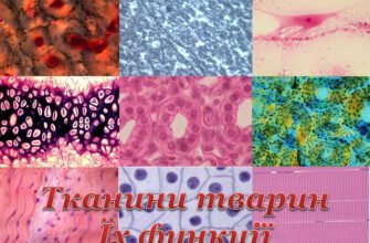 Зрозумійте, що таке тканина: види, властивості та використання матеріалів