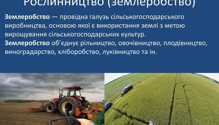Що таке рослинництво: основи, переваги та важливість для аграріїв