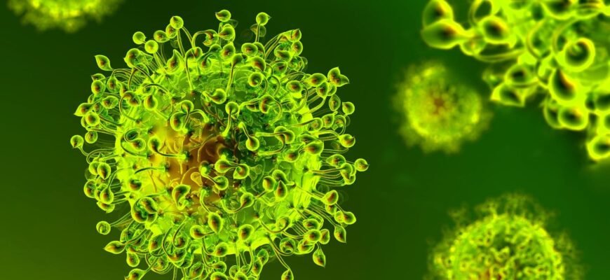 Що таке вірус: визначення, типи та вплив на наше здоров’я