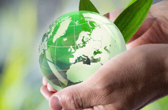 Що таке екологія: зрозумійте суть і важливість науки про довкілля