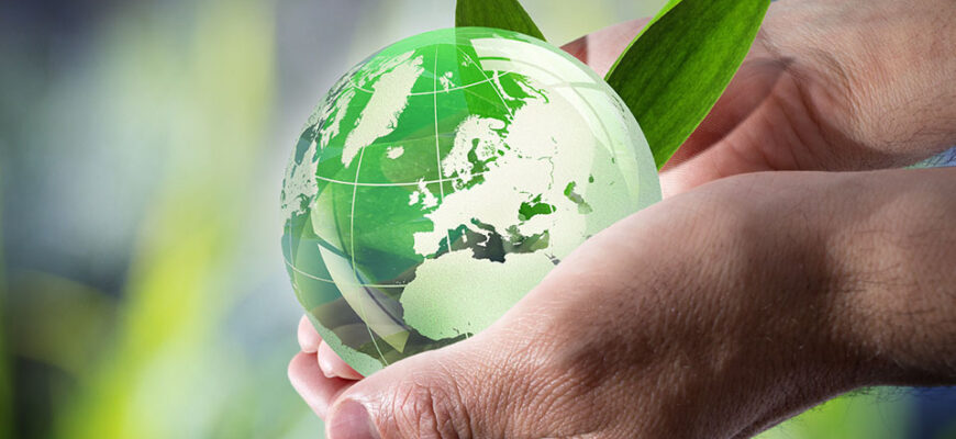 Що таке екологія: зрозумійте суть і важливість науки про довкілля