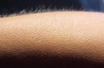 Герусія: значення, роль та вплив у давньогрецькому суспільстві