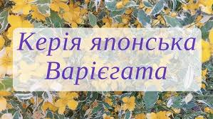 Кирея: Історія, значення та застосування у сучасному світі