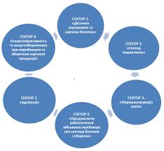 Що таке кластер: розуміння та оптимізація для бізнесу та IT-сфери
