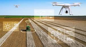 Землеробство: Основи, методи та важливість для сучасного суспільства