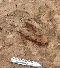 Заступ: Значення, Використання та Історія Слова в Українській Мові