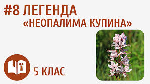 Зоряний Віз: Що Це Таке та Яку Роль Він Грає в Астрономії?