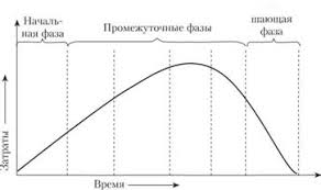 Що таке життєвий цикл: етапи та значення в різних сферах життя