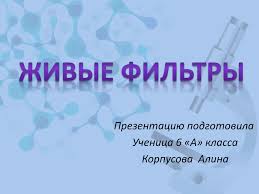 Живі фільтри: що це таке та як вони змінюють світ фільтрації?