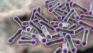 Дифтерія: що це таке, симптоми, причини та методи лікування хвороби