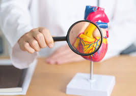 Ішемічна хвороба серця: причини, симптоми та методи лікування