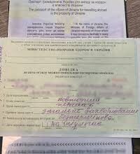 Детальний гід: Що таке Довідка МСЕК та як її оформити в Україні?