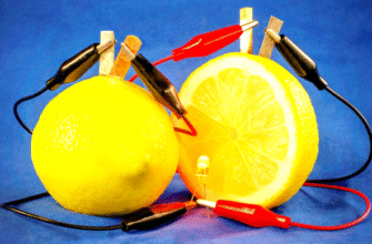 Що таке фруктова батарейка: як створити простий екологічний елемент живлення