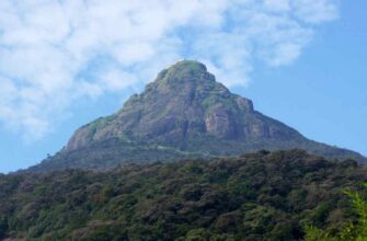 Що таке пік: визначення, особливості та приклади в повсякденному житті