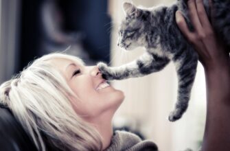 Фелинотерапия: лечение души и тела с помощью кошек. Как это работает?