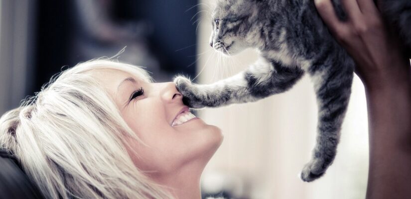Фелинотерапия: лечение души и тела с помощью кошек. Как это работает?