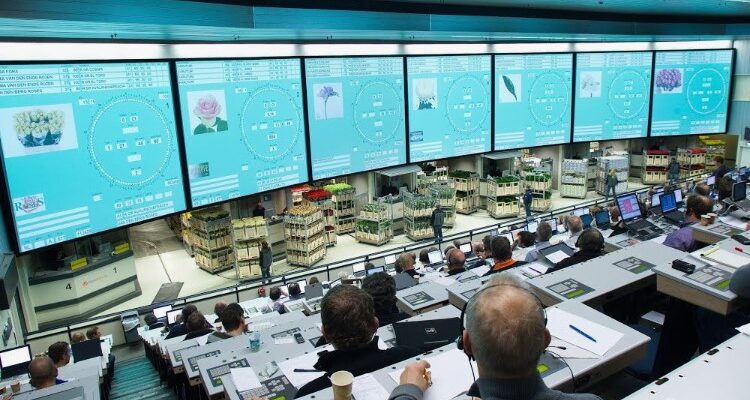 Голландский аукцион: особенности, преимущества и как он работает