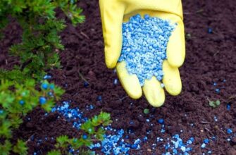 Азотные удобрения: что это такое и зачем они критически важны?