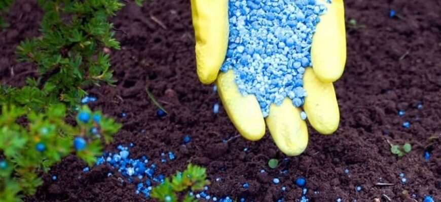 Азотные удобрения: что это такое и зачем они критически важны?