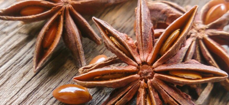Бадьян: полезные свойства и применение в кулинарии и медицине
