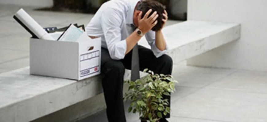 Что такое безработица: причины, виды и способы решения проблемы