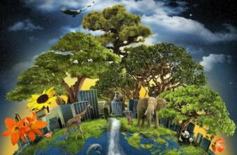 Что такое биосфера: определение, структура и значение для Земли