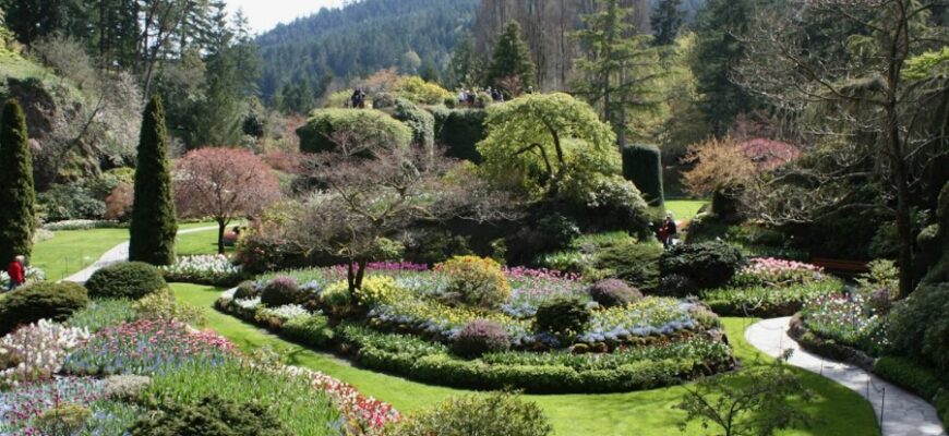 “Что такое ботанический сад: изучаем уникальные оазисы природы”