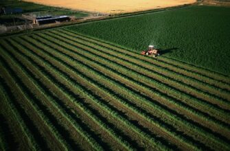 Эмфитевзис: что это такое и как используется в земельных отношениях?