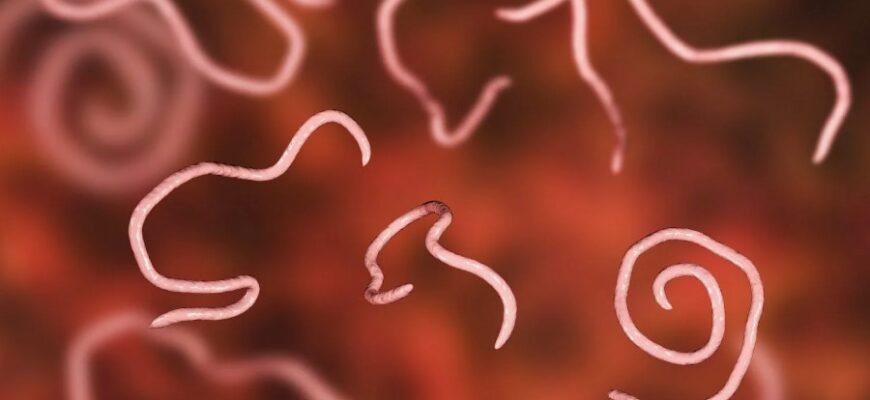 Что такое энтеробиоз: причины, симптомы и методы лечения заболевания