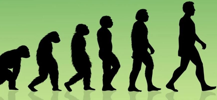 Эволюция: процесс изменений и адаптаций в природе и обществе