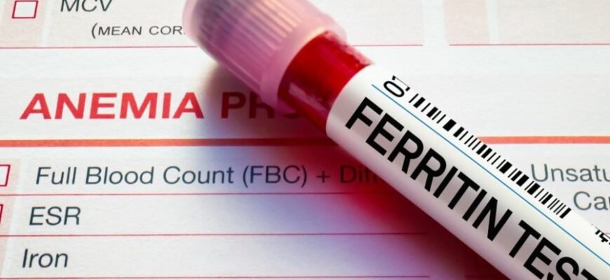 Что такое ферритин: роль, функции и нормы для вашего здоровья