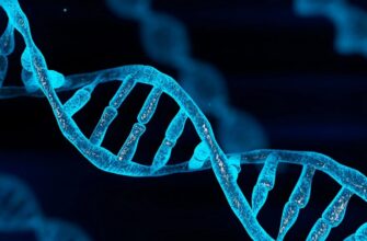 Что такое генетика: основы и значение в современном мире науки