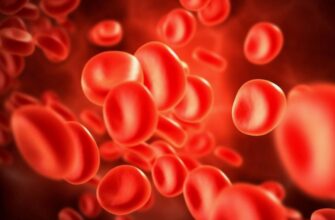 Что такое группа крови: классификация, важность и совместимость