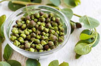 Что такое каперсы: их польза, особенности и применение в кулинарии