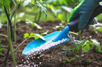 Что такое карбамид: польза и применение в сельском хозяйстве