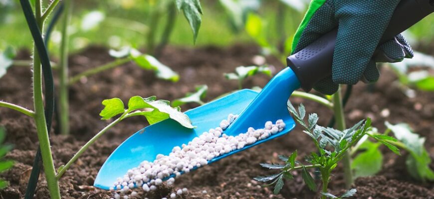 Что такое карбамид: польза и применение в сельском хозяйстве