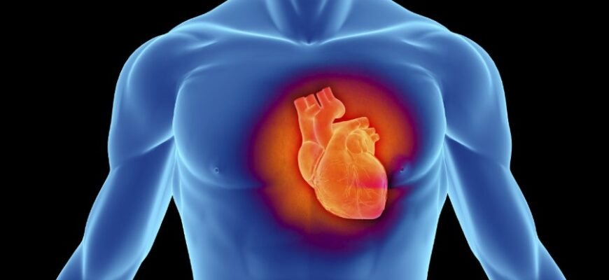 Что такое кардиомиопатия: причины, симптомы и методы лечения