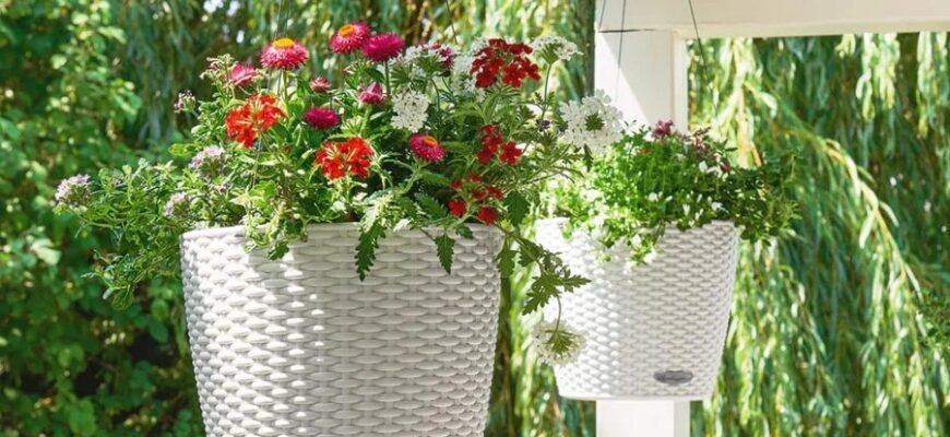 Кашпо: что это такое и как использовать для украшения дома